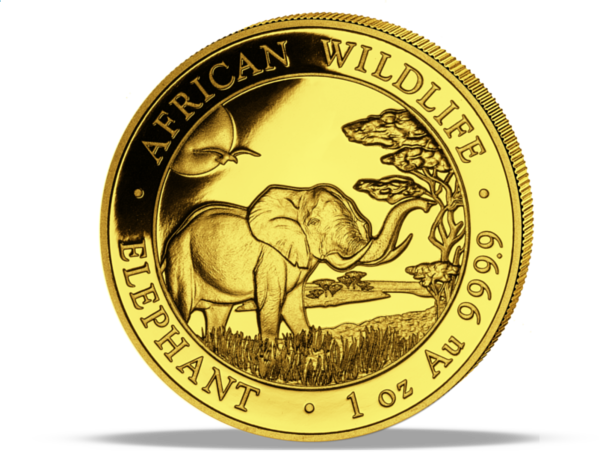 Zdjęcie przodu monety Somalijski Słoń